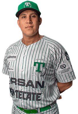 Liga Mexicana de Beisbol, Sitio Oficial